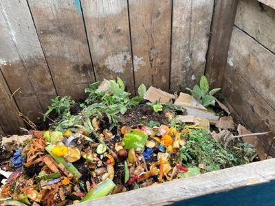 Various items in a compost heap