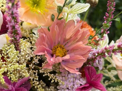 Bouquet of colourful flowers