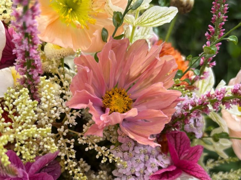 Bouquet of colourful flowers