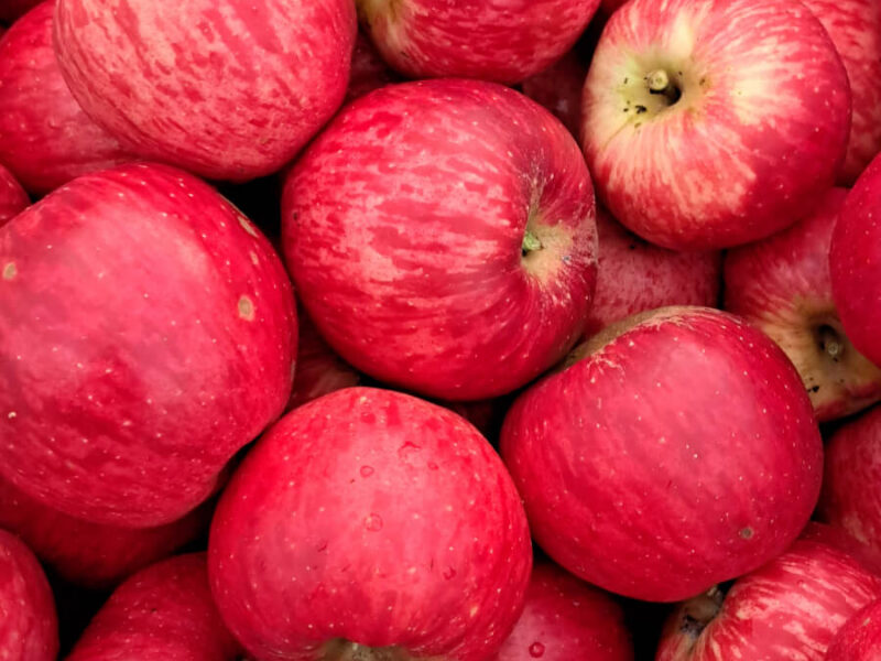 Pile of red apples from Low Stanger Farm