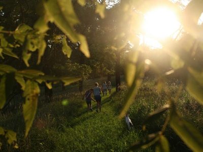 People walking through long grass in between trees